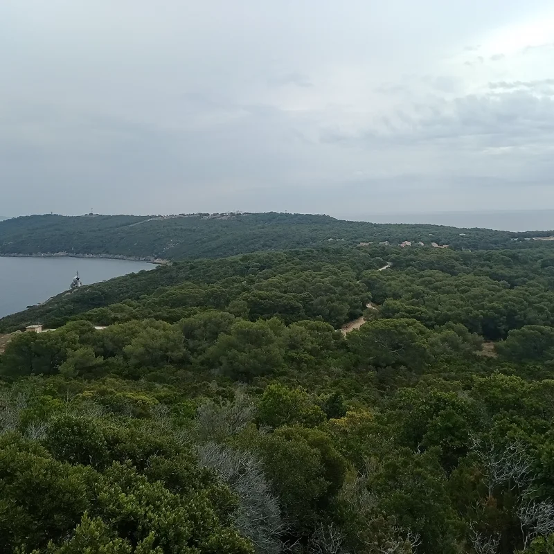 Île du Levant